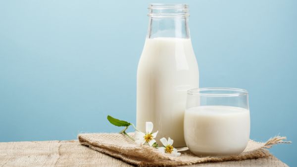 البروتين ساعد على إطالة دورة الخلية وهو الأمر الذي يؤكد التأثير الوقائي للحليب ضد الأمراض السرطانية