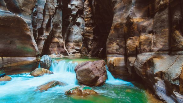 (Shutterstock/ File Photo)