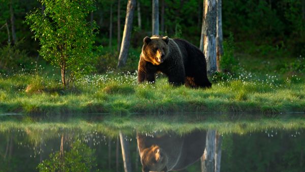 (Shutterstock/ File Photo)