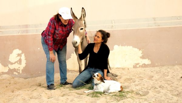 Dana Algosaibi tends to some of the animals she has rescued. (Photo supplied/ Arab News)