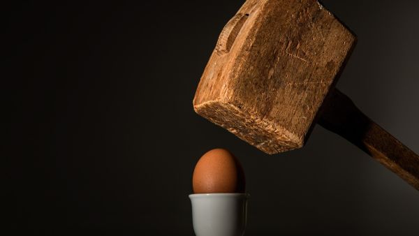 طبيب البوابة: هل يجب أن تأكل البيض في الصيف؟