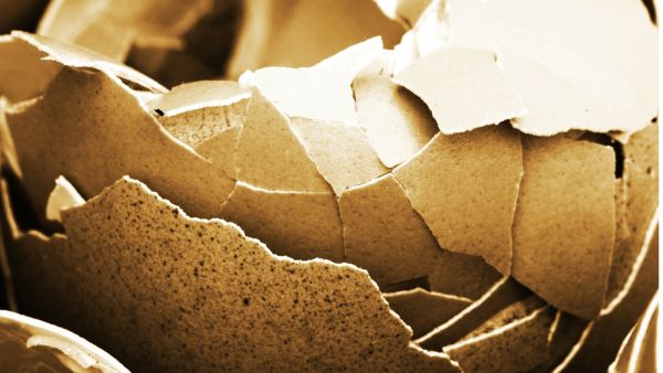  ما تفسير الحلم بقشر البيض في المنام؟
