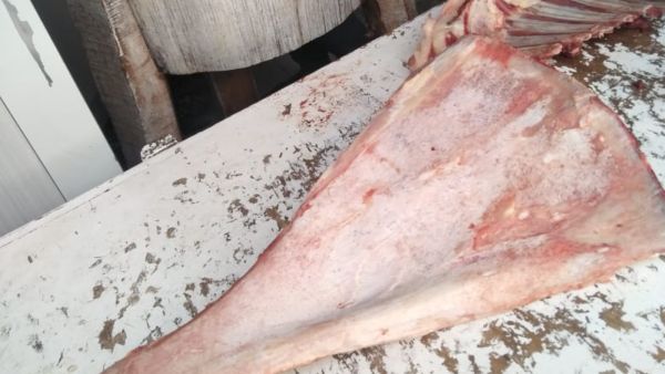 سر "عظمة" تصنع أخطر أنواع السحر في مصر