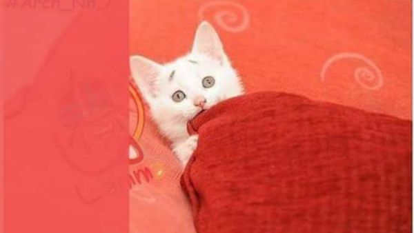 شكل البنت لما ينادي ابوها وينها هاي؟