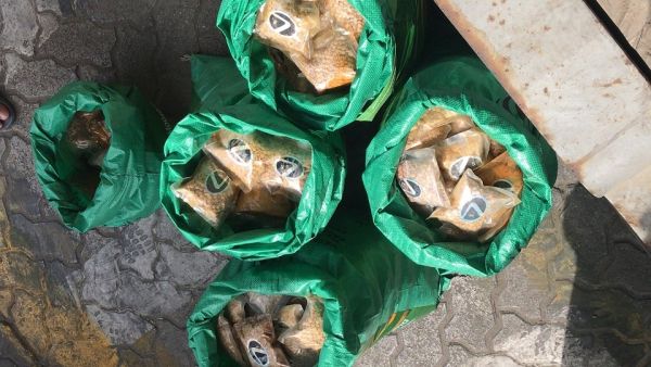 جمارك دبي عيون ساهرة على حماية الحدود
