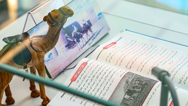 من خلال جلسات سرد القصص والورش الفنية والمحاضرات التثقيفية