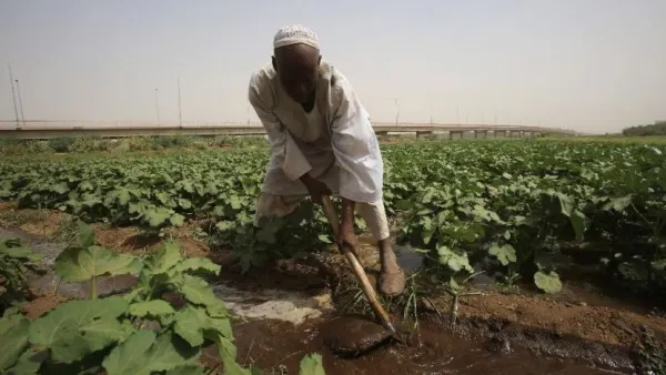 Saudi Arabia and the United Arab Emirates have pledged to donate 50,000 tons of agricultural aid to Sudan. (AFP)