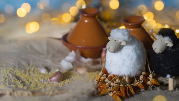 (Shutterstock/ File Photo)