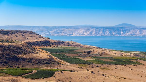 Golan Heights (Shutterstock)	