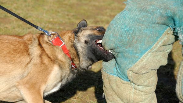 (Shutterstock/ File Photo)