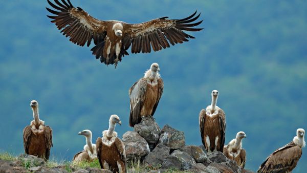 (Shutterstock/ File Photo)