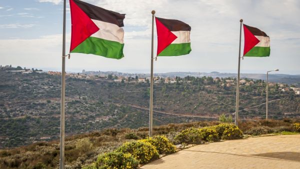 A row of Palestine flags  (Shutterstock)	