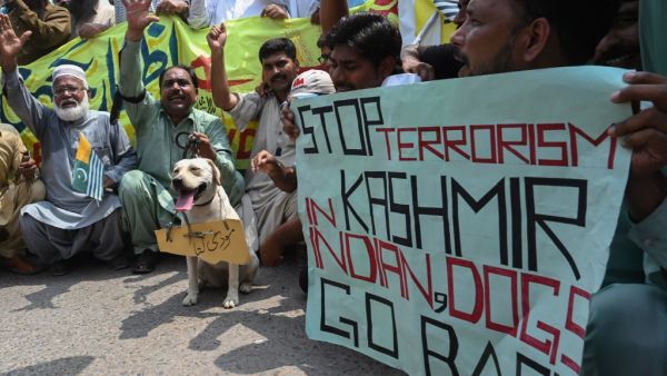 Demonstrators shout slogans with a dog during an anti-India protest in Lahore on August 27, 2019, as they condemn India's decision to strip the disputed Kashmir region of its special autonomy. (AFP/ File Photo)