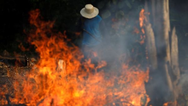 Amazon Rainforest is burning at a record rate (Twitter)
