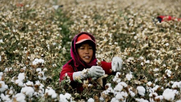 This handout courtesy of Medi Bastoni taken and released on August 5, 2019 shows Bastoni as he takes a selfie during a quick stop in Kendal, during his ongoing campaign to draw attention to the issue of deforestation in Indonesia. (AFP)