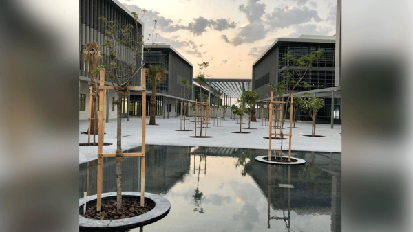 الجامعة الأمريكية في البحرين الجامعة الأمريكية في البحرين