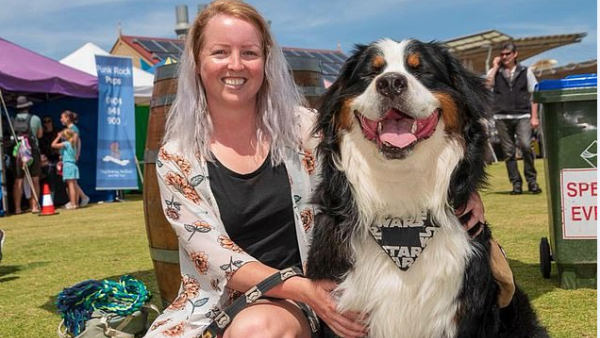 Anakin The Burnese Mountain Dog is described on his world-famous Instagram profile as 'stubborn and sassy', and his 32,000 audience can't get enough. (Facebook)