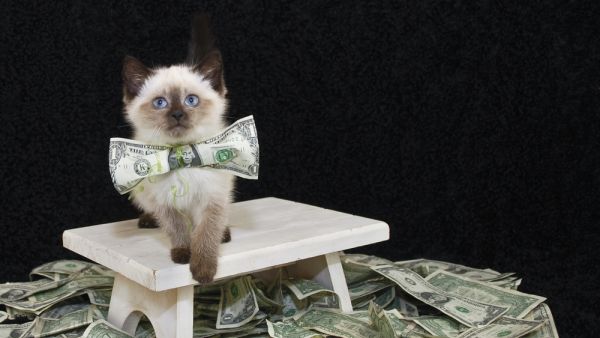 (Shutterstock/ File Photo)