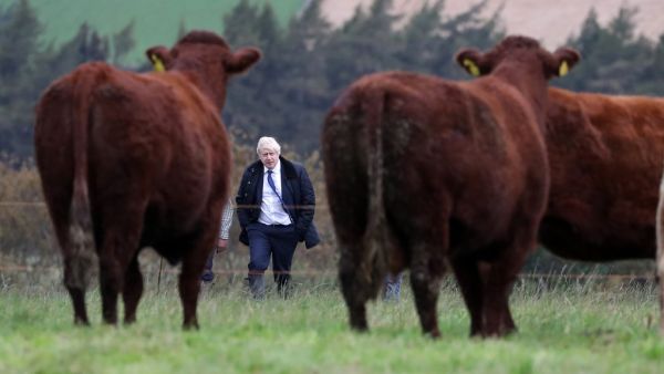 Britain's Prime Minister Boris Johnson (AFP)