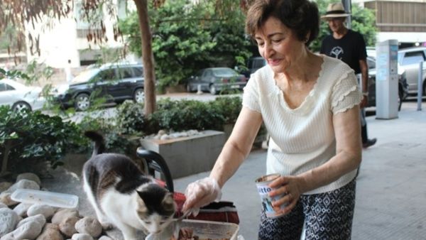 Vera says she buys 75 cans of cat food, 15 kilograms of dry food and four bags of chicken each week. (The Daily Star/Emil Jorgensen)