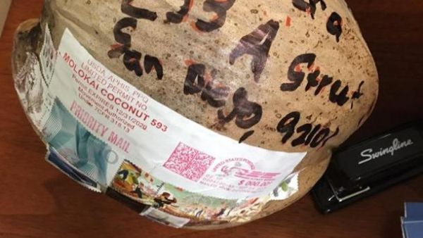 A California opera house received a mystery coconut in the mail. (Photo by the San Diego Opera/Facebook)