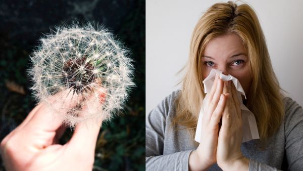5 زيوت أساسية للتخلص من الحساسية