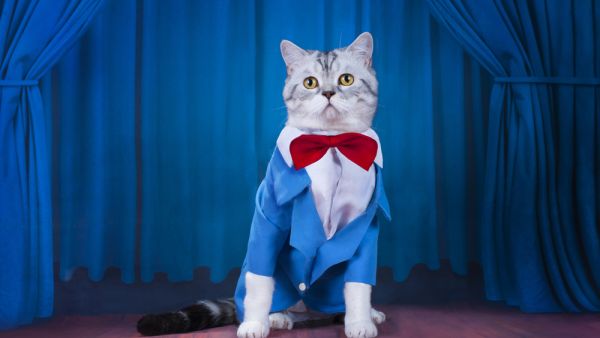 (Shutterstock/ File Photo)