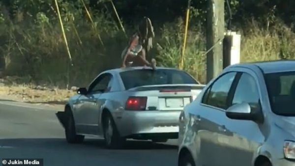 Myscellent Shelton-Cox, 23, was arrested and charged with disorderly conduct early Friday morning for dancing on the roof of a Mustang during slow-moving traffic. (Video Screenshot) Myscellent Shelton-Cox, 23, was arrested and charged with disorderly conduct early Friday morning for dancing on the roof of a Mustang during slow-moving traffic. (Video Screenshot)