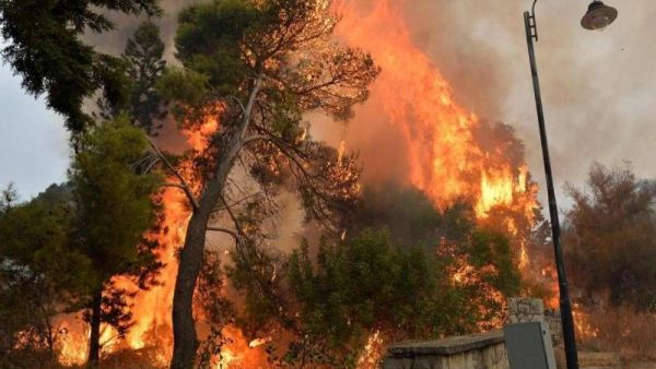 Lebanon’s forest fires (Twitter)