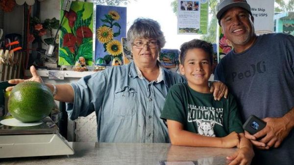 A Hawaii family's 5.6-pound avocado has been certified as the world's heaviest by Guinness World Records. (Photo courtesy of Guinness World Records)
