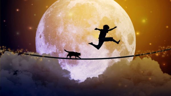 يقال إن رؤية الحيوانات أثناء النوم يمكن أن تعني أشياء جيدة وأخرى سيئة