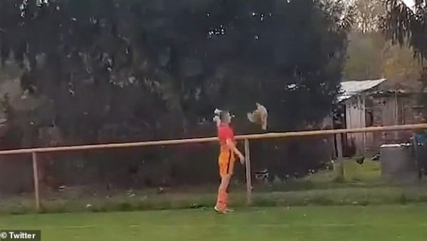 Ivan Gazdek, 23, was shown a straight red card during a semi-professional football match in Croatia at the weekend for kicking a chicken to death after it ran on the pitch. (Twitter)