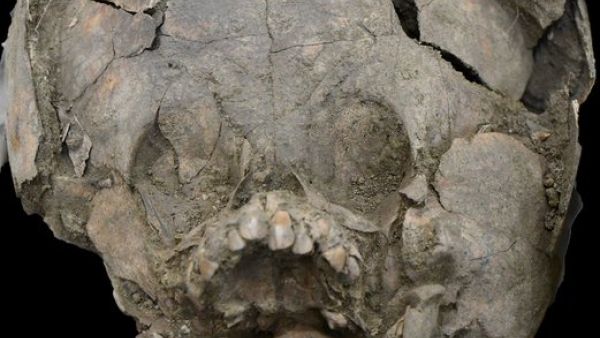 Babies In Ancient Ecuador Were Buried With Helmets Made From Skulls (Twitter)