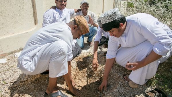 خلال الحدث جمعية البيئة العُمانية تتعاون مع شركة نيلز يارد ريميديز للحفاظ على أشجار اللبان العُمانية