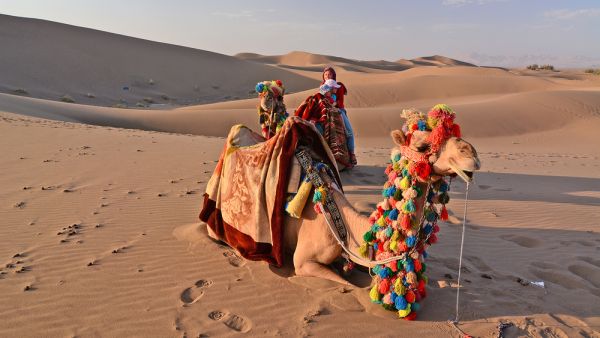  Lut Desert  (Shutterstock)	