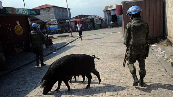 A soldier of the MINUSTAH (United Nations Stabilization Mission in Haiti) peacekeeping contingent walking past a pig while patrolling in the Cite Soleil slum of Port-au-Prince in 2014. (AFP/ File Photo)