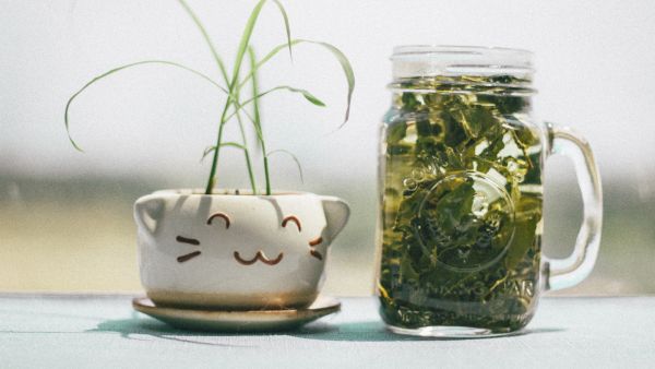 اصنعيه بنفسك: تونر الشاي الأخضر