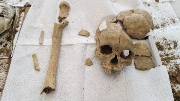 3,500-year-old skull  (Twitter)