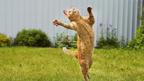 (Shutterstock/ File Photo)