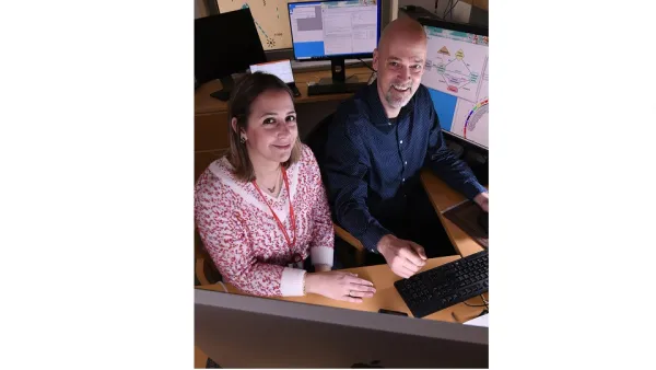 New Research From WCM-Q Sheds Light on Common Diseases