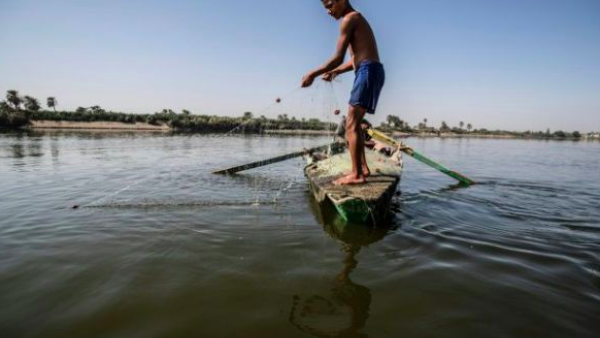 A young Egyptian fisherman pulls his net in the River Nile in a village near Minya, south of the capital Cairo (AFP Photo/Khaled DESOUKI) A young Egyptian fisherman pulls his net in the River Nile in a village near Minya, south of the capital Cairo (AFP Photo/Khaled DESOUKI)