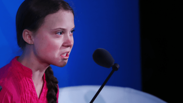 Greta Thunberg (Twitter)