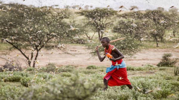 Uganda has not had such an outbreak since the 1960s and is already on alert. (AFP/ File Photo)