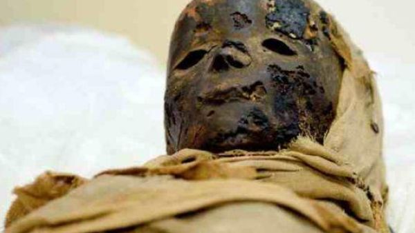 Egyptian child mummies  (Twitter)