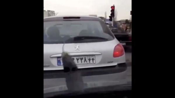 The videos were widely shared online [Twitter]