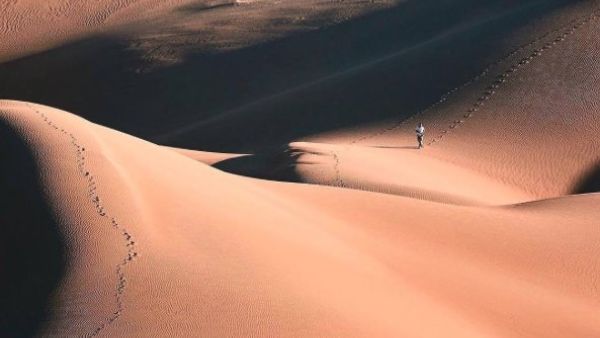 Rig-e Jenn (Twitter)