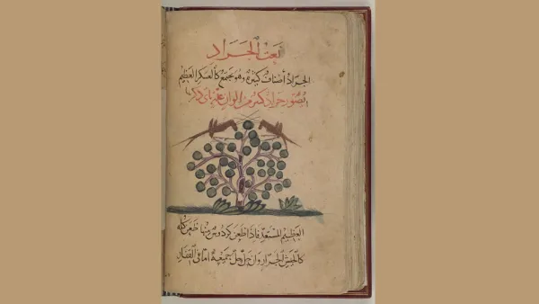 Fascinating documents on Qatar Digital Library reveal details of a little-known, but significant battle against locust swarms in mid-20th century