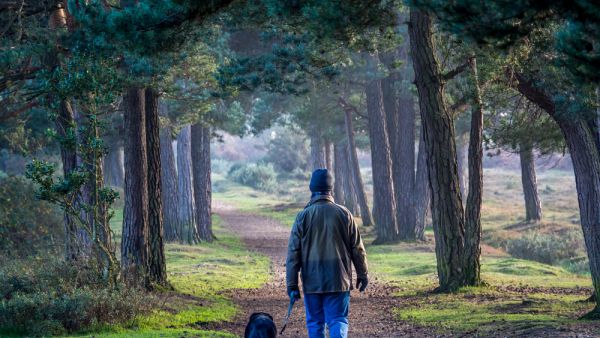 (Shutterstock/ File Photo)