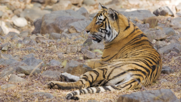 (Shutterstock/ File Photo)