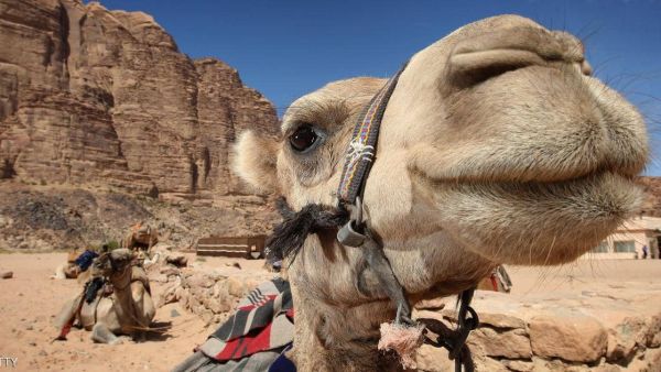 تعبيرية